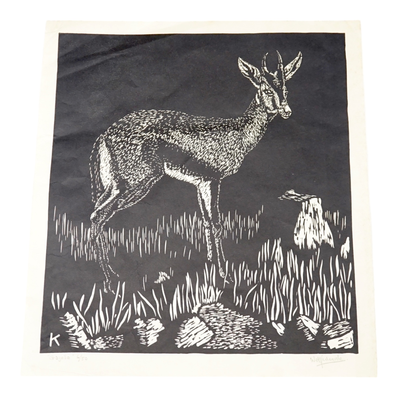 William Kermode (1895-1959), wood engraving, 'Gazelle' 6/50, signed in pencil, sheet 31 x 28.5cm. unmounted. Condition - good